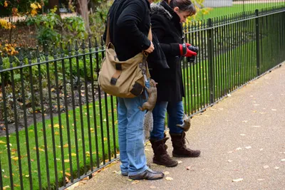 DSC_0604 (Large).JPG